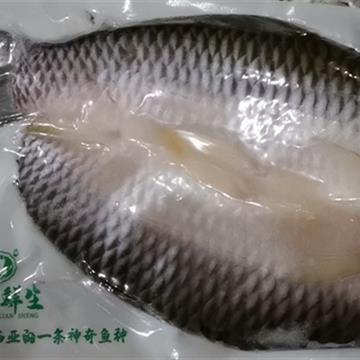 皇帝鱼，苏丹鱼，忘不了鱼